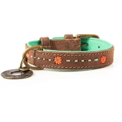 Dwam Halsband Joplin - Hondenhalsband