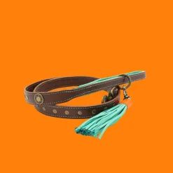 Dwam Ledere Looplijn Joe Bruin&Turquoise - Hondenriem