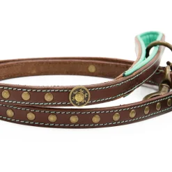 Dwam Ledere Looplijn Joe Bruin&Turquoise - Hondenriem