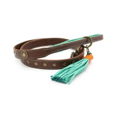 Dwam Ledere Looplijn Joe Bruin&Turquoise - Hondenriem