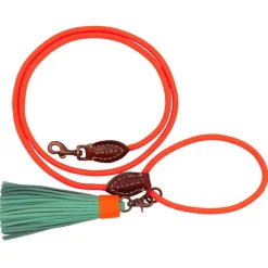 Dwam Looplijn Carrot Cake Touw - Hondenriem - 155x1 cm Oranje