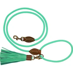 Dwam Looplijn Jade Touw Turquoise - Hondenriem
