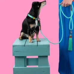 Dwam Looplijn Jade Touw Turquoise - Hondenriem