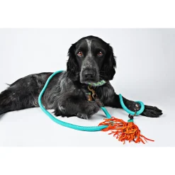 Dwam Looplijn Turquoise - Hondenriem