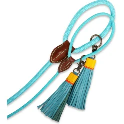 Dwam Looplijn Turquoise - Hondenriem