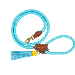 Dwam Looplijn Turquoise - Hondenriem