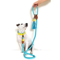 Dwam Looplijn Turquoise - Hondenriem