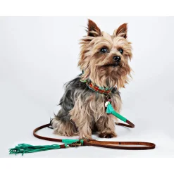 Dwam Puppy Looplijn Billy - Hondenriem - 135x0.7 cm Bruin Turquoise