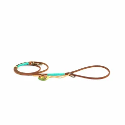 Dwam Puppy Looplijn Billy - Hondenriem - 135x0.7 cm Bruin Turquoise