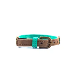 Dwam Tommy Kattenhalsband - Kattenhalsband - Multi-Color 22-27x1 Cm
