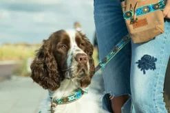 Dwam Treatbag Don Juan - Hondensnackzak - 17x12 cm Blauw