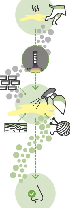 Ecodor Uf2000 Urine Geurverwijderaar - Hondenzindelijkstraining - 500 ml