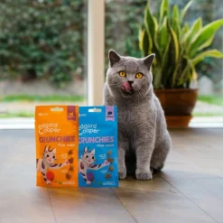 Edgard&Cooper Crunchies - Kattensnack - Zalm 50 g