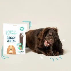 Edgard&Cooper Doggy Dental Appel - Hondensnacks