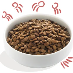 Edgard&Cooper Free-Run Chicken Senior Kip&Zalm&Broccoli - Hondenvoer