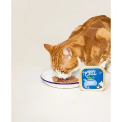 Edgard&Cooper Kuipje Senior - Kattenvoer - Kip Zalm 85 g