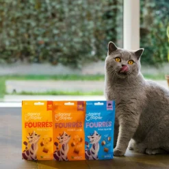 Edgard&Cooper Pillows - Kattensnack - Zalm 60 g