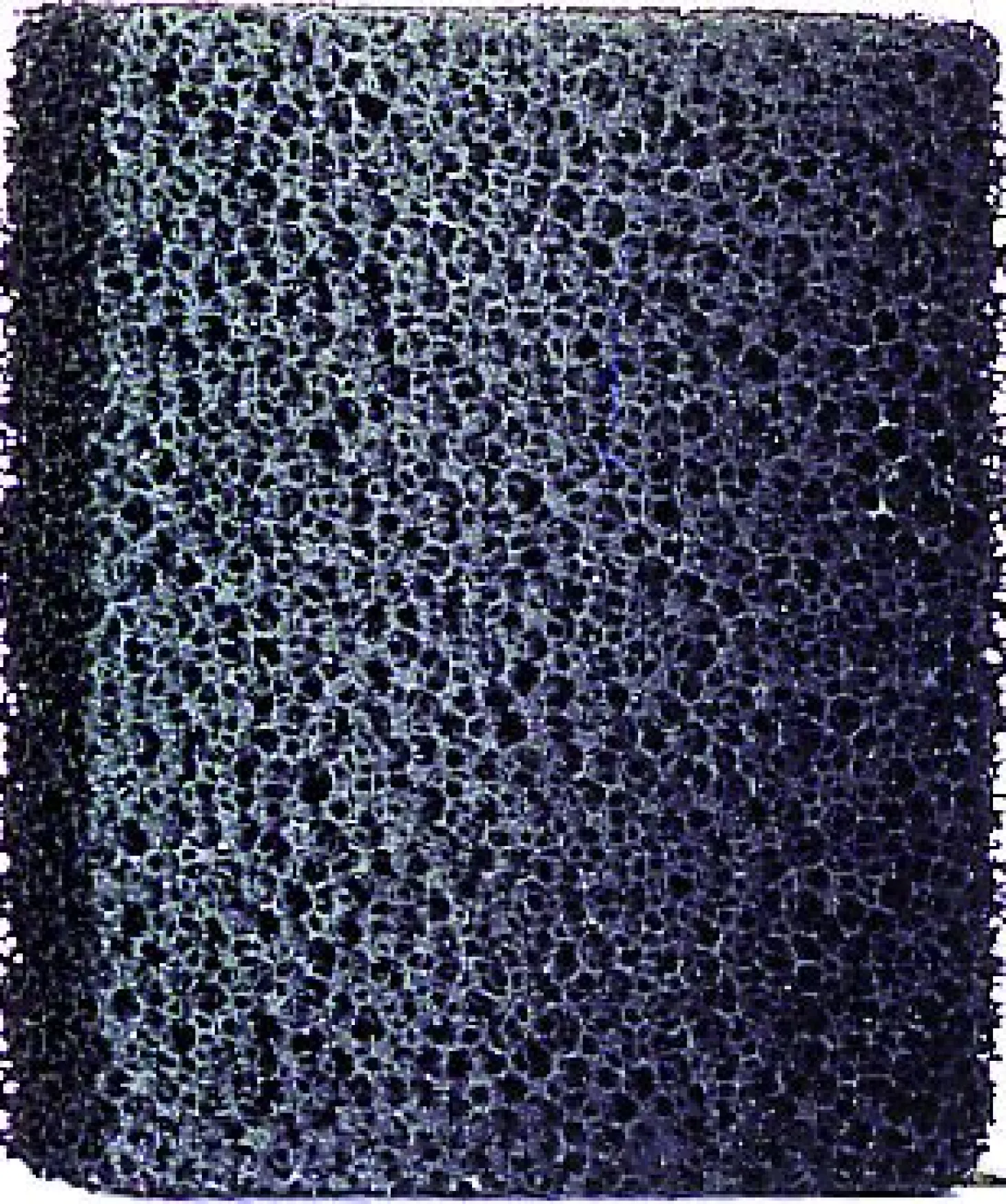 Eheim Filterpatroon Voor Pickup 45 - Filtermateriaal - 2 stuks Kool