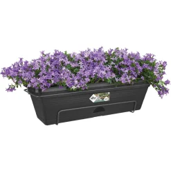 Elho Balkonbakset Green Basic All-In-1 - Plantenbak - 50x17x26 cm Zwart