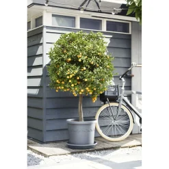 Elho Bloempot Algarve Rond Incl. Wieltjes - Buitenpot - Ø40x34 cm Grijs