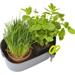 Elho Brussels Kruiden Station - Kweekbenodigdheden - 30x13x18 cm Antraciet