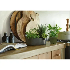 Elho Brussels Kruiden Station - Kweekbenodigdheden - 30x13x18 cm Antraciet