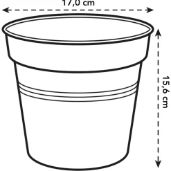 Elho Green Basics Kweekpot - Kweekbenodigdheden - Ø17x15.7 cm Groen