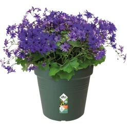 Elho Green Basics Kweekpot - Kweekbenodigdheden - Ø17x15.7 cm Groen