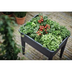 Elho Green Basics Kweektafel Super - Kweekbenodigdheden - 75.5x56.3x73.3 cm Zwart