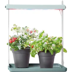 Elho Light Garden - Kweekbenodigdheden - 39x48x27 cm Lichtgroen