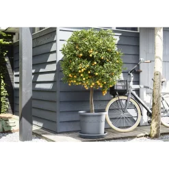 Elho Uni Schotel Rond Grijs - Plantenschotel