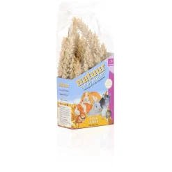 Esve Natuur Tarwe-Aren - Knaagdiersnack - Natuur 90 g