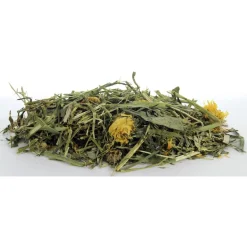 Esve Natuur Weide-Mix - Knaagdiersnack - Natuur 100 g