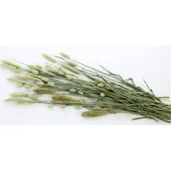 Esve Pet Bouquet Knaagveld - Knaagdiersnack - 100 g