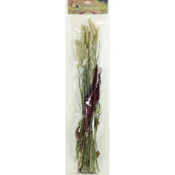 Esve Pet Bouquet Knabbelstruik - Knaagdiersnack - 100 g