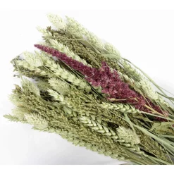 Esve Pet Bouquet Koker Equator - Vogelsnack - 200 g