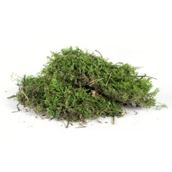 Esve Speelmos - Bodembedekking - per stuk