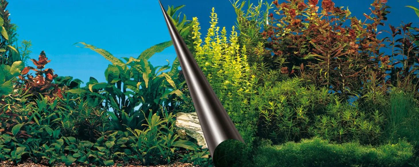 Europet Bernina Achterwandposter Beauty Met Sea - Aquarium - Achterwand