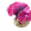 Europet Bernina Decor Koraal S - Aquarium - Ornament - 8x8x7 cm Fuchsia