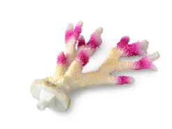 Europet Bernina Decor Koraal Xl - Aquarium - Ornament - 26x18.5x7.5 cm Wit Pink