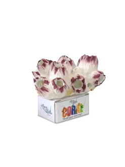 Europet Bernina Decor Koraal L - Aquarium - Ornament - 13.5x12.5x9.5 cm Paars Wit