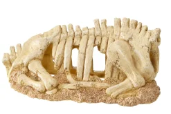Europet Bernina Decor Skelet Torso - Aquarium - Ornament - 30x14x13 cm