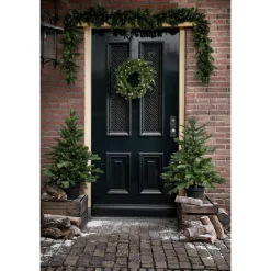 Everlands Guirlande Grandis - Kerstversiering - Ø20x270 cm Groen 80 Led