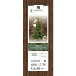 Everlands Kunstkerstboom Grandis Fir - Kerstboom - Ø162x240 cm Groen Warm Wit 700