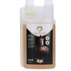 Excellent Garlic Allicin Vloeibaar - Voedingssupplement - 1 l