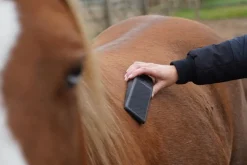 Excellent Horse Grooming Borstel - Paardenvachtverzorging - 23 cm Zwart