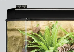 Exo Terra Digitale Thermometer Met Voeler - Thermometer - 0-50 C Digital