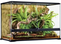 Exo Terra Glas Terrarium - Terraria