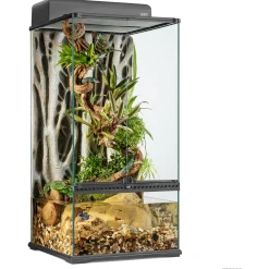 Exo Terra Paludarium - Terraria - 45x45x90 cm
