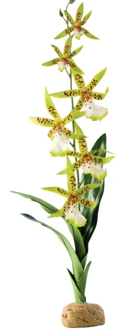 Exo Terra Rainforest Plant Spider Orchid - Kunstplanten - per stuk